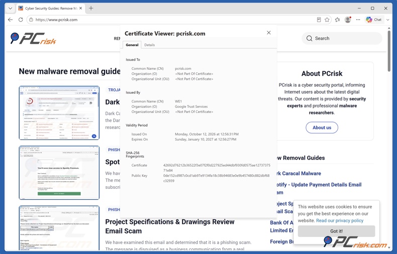 SSL-Zertifikatsdetails in Microsoft Edge