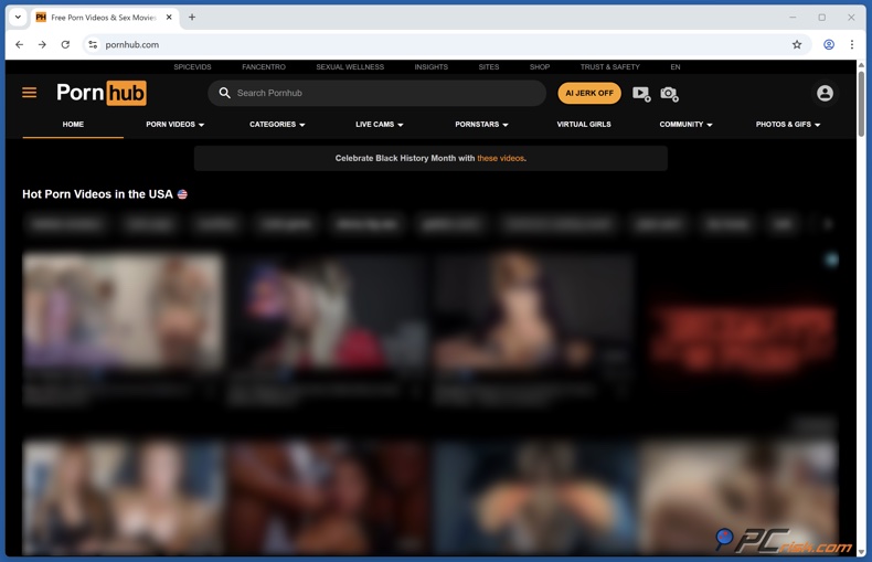 PornHub homepage