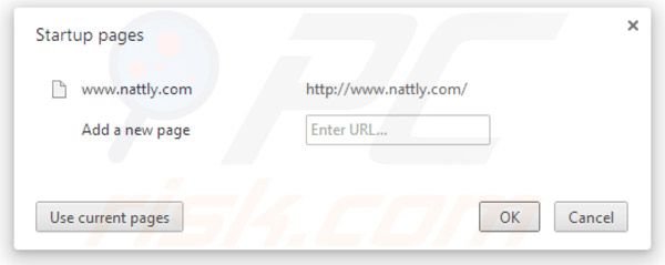 Nattly Homepage bei Google Chrome
