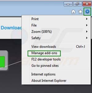 Zoom Downloader von Internet Explorer Erweiterungen entfernen Schritt 1