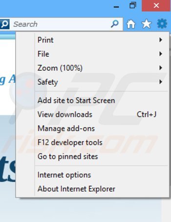 Removing information ads from Internet Explorer step 1