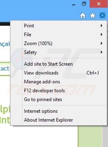 Removing premieropinion surveys from Internet Explorer step 1