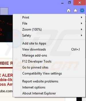 Removing Zombie Invasion ads from Internet Explorer step 1