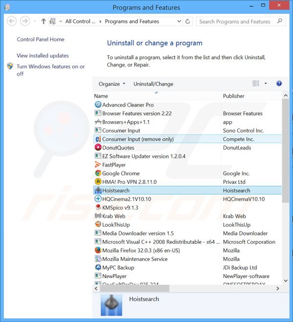 hoistsearch.com browser hijacker uninstall via Control Panel