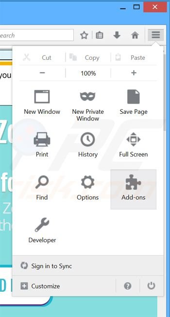 Removing WebZoom ads from Mozilla Firefox step 1