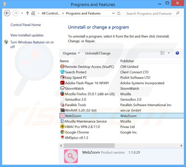 WebZoom adware uninstall via Control Panel