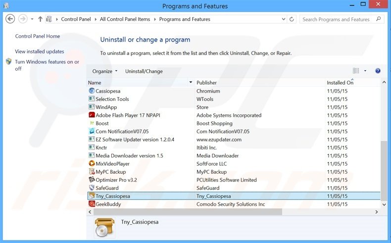 cassiopesa.com browser hijacker uninstall via Control Panel