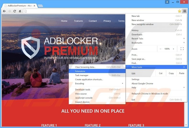 Removing AdBlockerPremium  ads from Google Chrome step 1