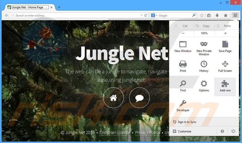 Removing Jungle Net ads from Mozilla Firefox step 1