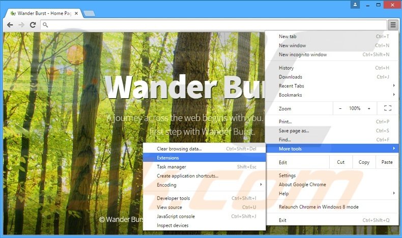 Removing Wander Burst  ads from Google Chrome step 1