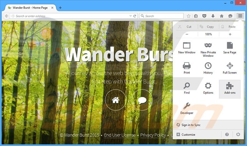 Removing Wander Burst ads from Mozilla Firefox step 1
