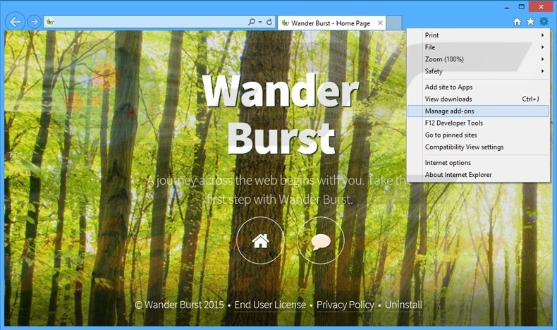 Removing Wander Burst ads from Internet Explorer step 1