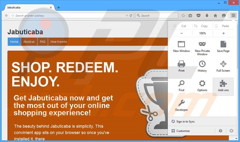 Removing Jabuticaba ads from Mozilla Firefox step 1