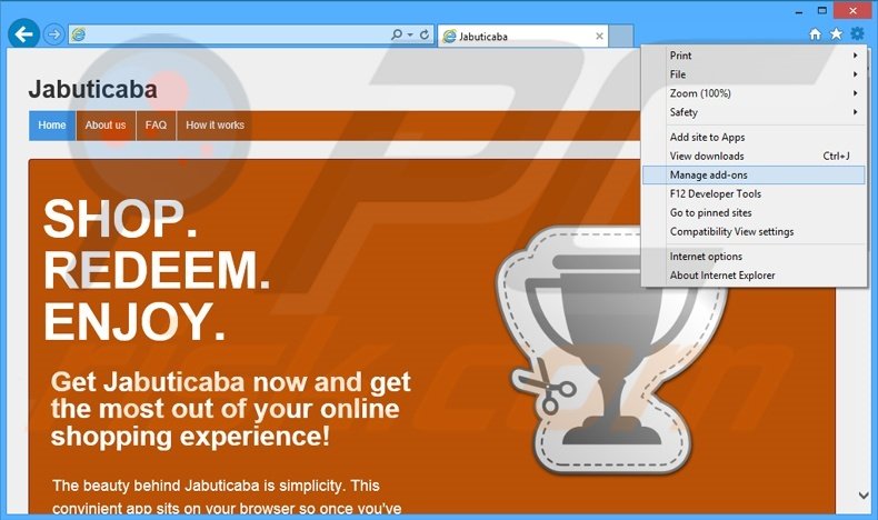 Removing Jabuticaba ads from Internet Explorer step 1