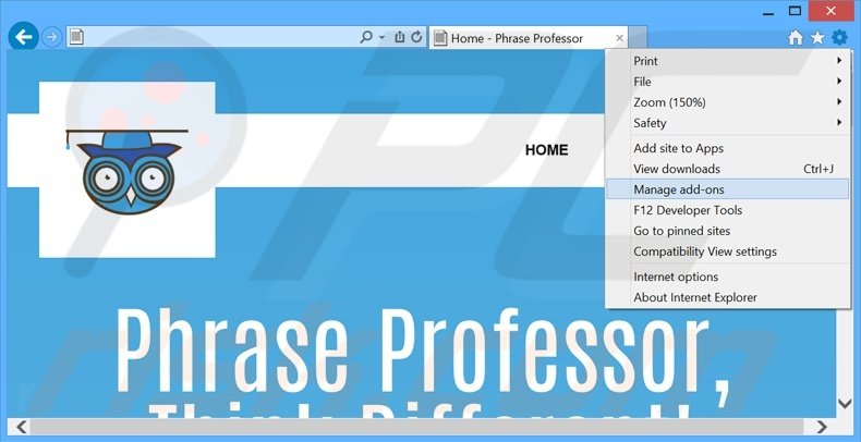 Removing PhraseProfessor ads from Internet Explorer step 1