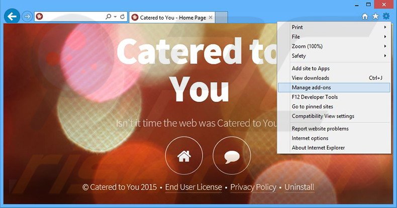 Removing Catered to You ads from Internet Explorer step 1
