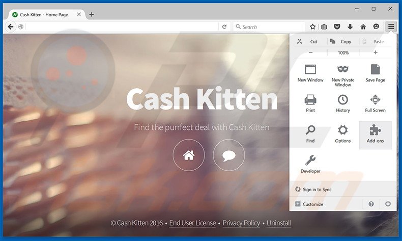 Removing Cash Kitten ads from Mozilla Firefox step 1