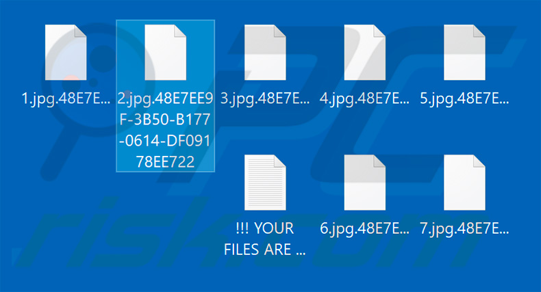 Files encrypted by Buran