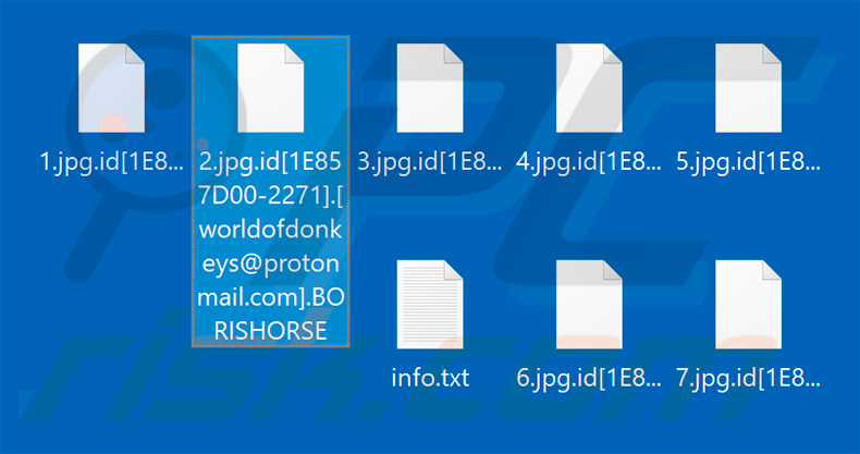 Files encrypted by BORISHORSE