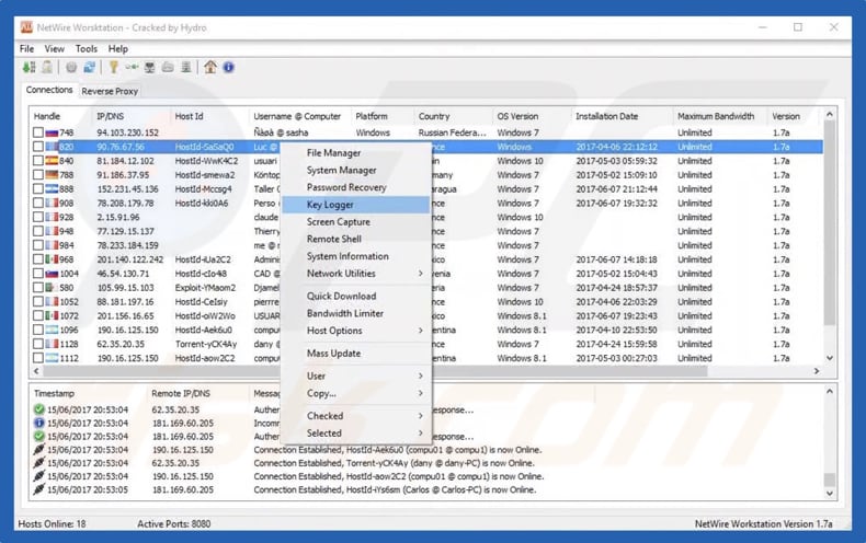 netwire administration panel