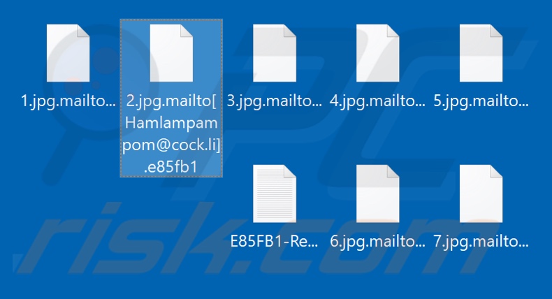 Files encrypted by Mailto