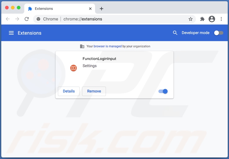 FunctionLogInput Browserentführer auf Google Chrome installiert