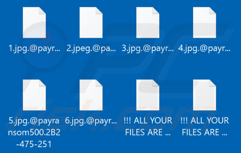 Von Payransom500 Ransomware verschlüsselte Dateien (.@payransom500.[victim's_ID] Erweiterung)