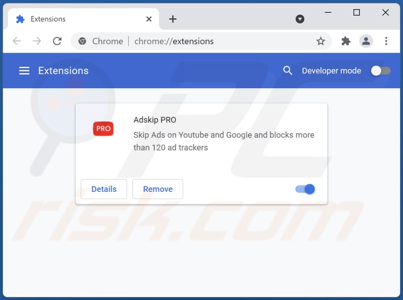 Adskip PRO Werbung von Google Chrome entfernen Schritt 2