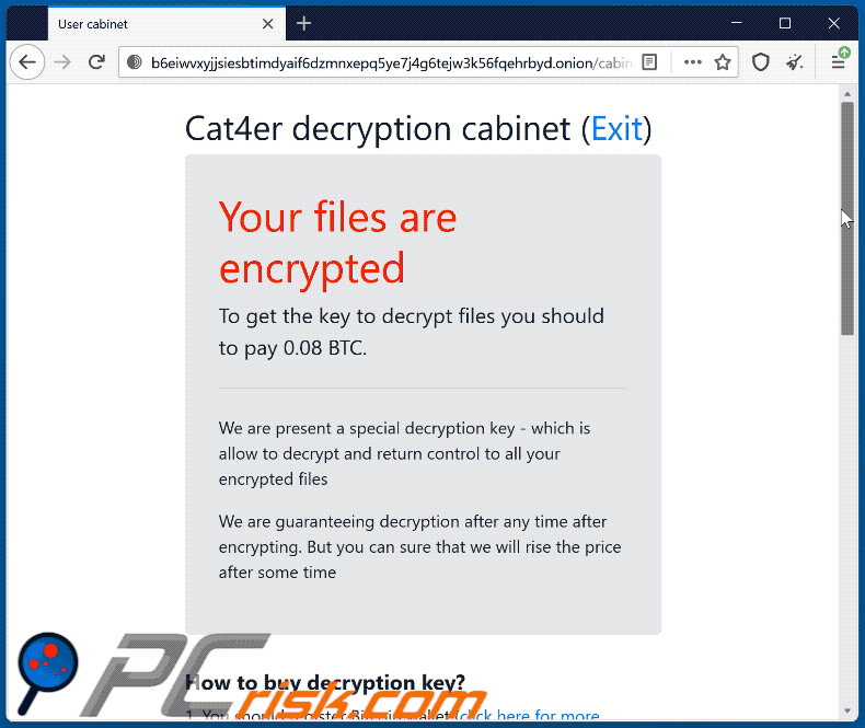 Cat4er Ransomware Webseite (GIF)