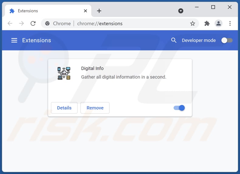 Digital Info Adware von Google Chrome entfernen Schritt 2
