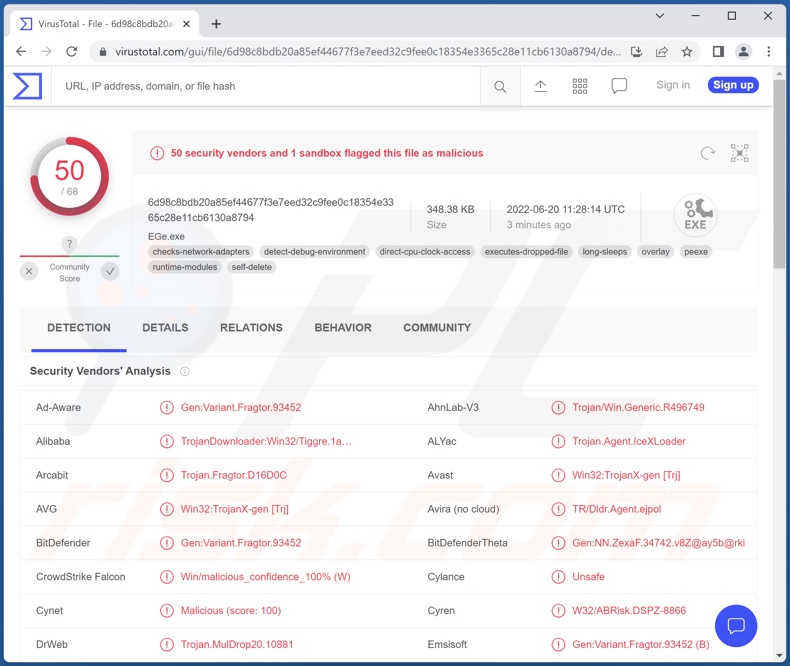 IceXLoader Malware Erkennungen auf VirusTotal
