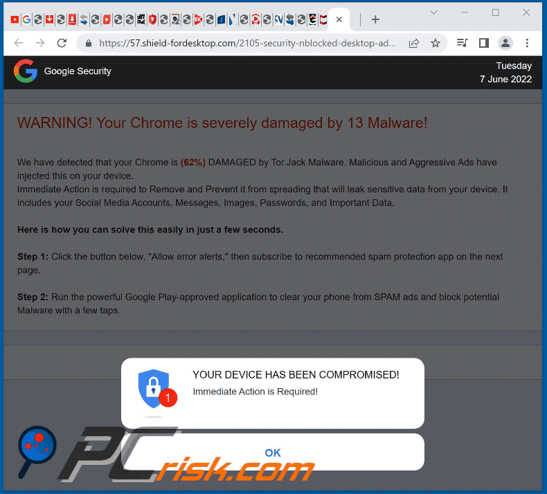 Aussehen der Webseite shield-fordesktop[.]com (GIF) 1
