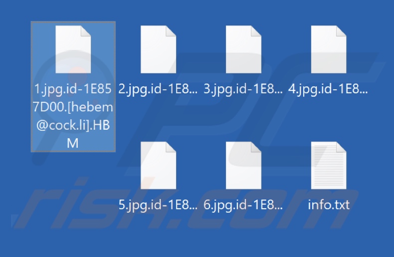 Von HBM Ransomware verschlüsselte Dateien (.HBM Erweiterung)