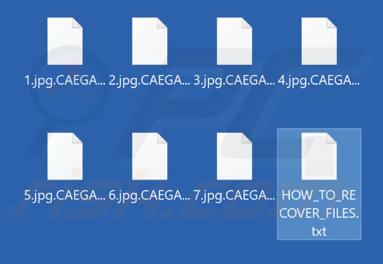 Von NoEscape Ransomware verschlüsselte Dateien (zufällige Erweiterung)