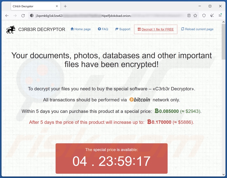C3RB3R Ransomware Tor Webseite