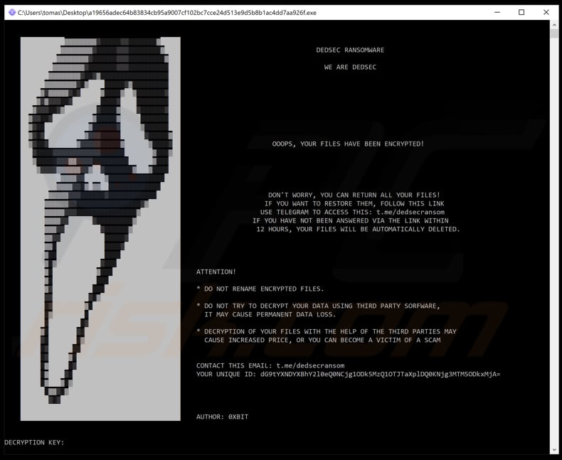 Dedsec Ransomware Dialogfenster