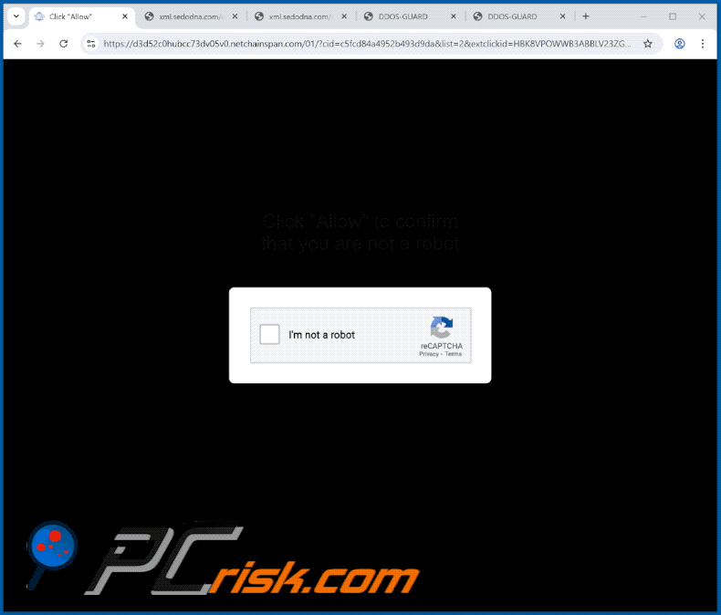 Darstellung der Website netchainspan[.]com (GIF)