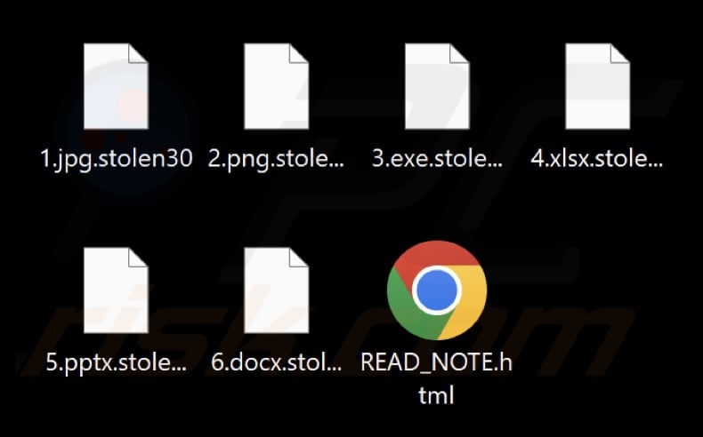 Mit Stolen Ransomware verschlüsselte Dateien (Dateiendung .stolen30)