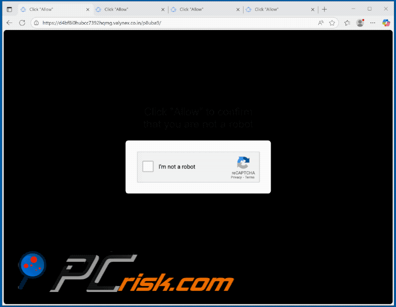 valynex.co[.]in website Aussehen (GIF)