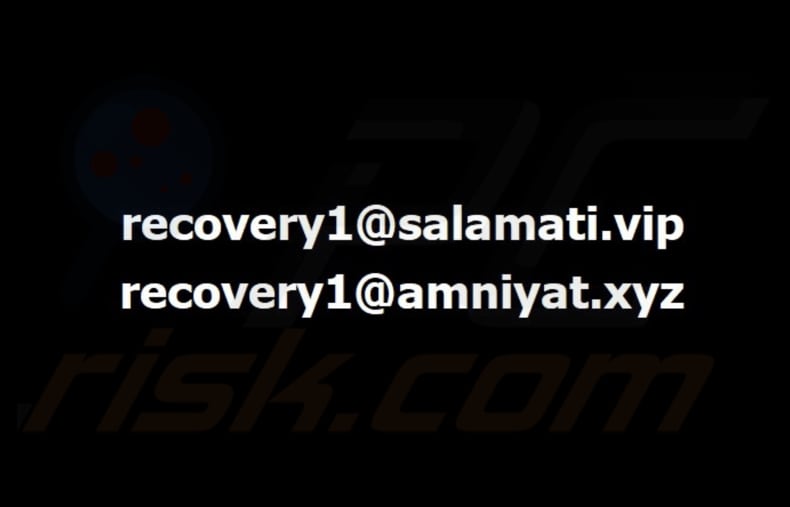 Bear ransomware Tapete