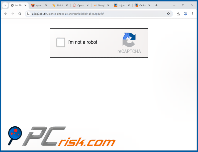 Erscheinungsbild der Website license-check-av[.]site (GIF)