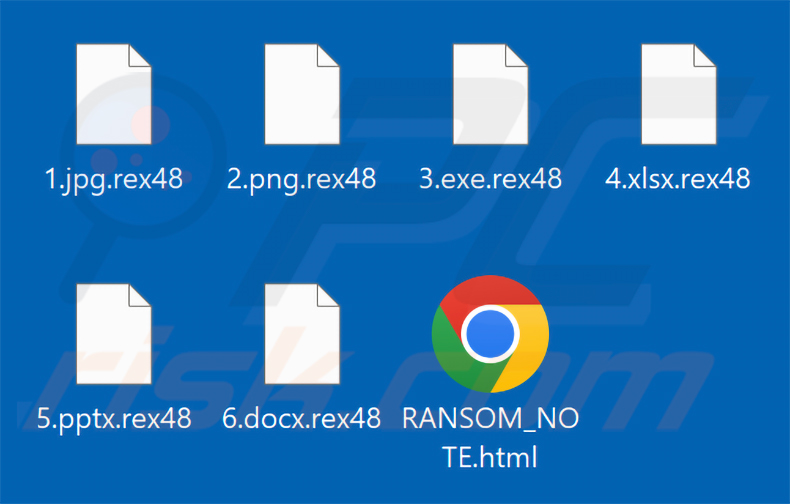Von Rex Ransomware verschlüsselte Dateien (Erweiterung .rex48)