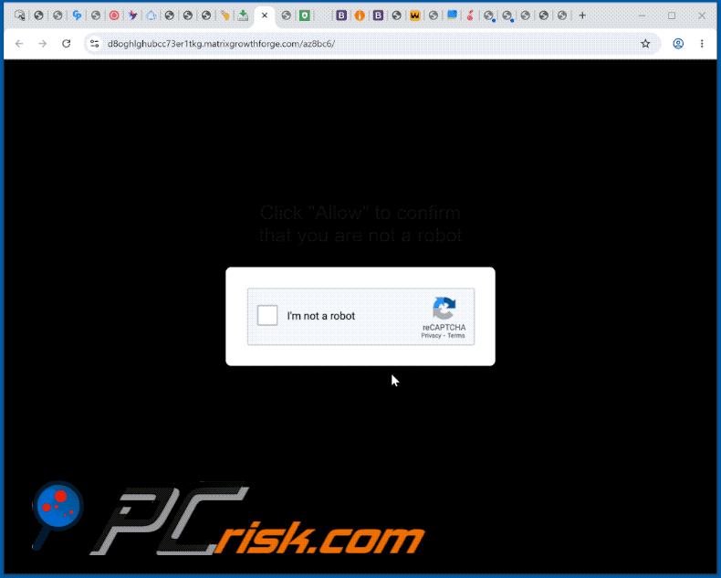Erscheinungsbild der Website matrixgrowthforge[.]com (GIF)