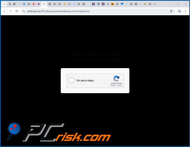 Erscheinungsbild der Website ascendscaleforge[.]com (GIF)