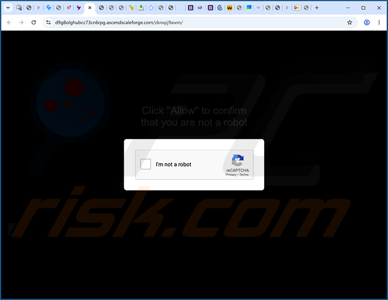 ascendscaleforge[.]com Werbung