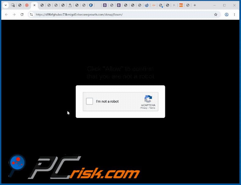 Erscheinungsbild der Website risecoregrowth[.]com (GIF)