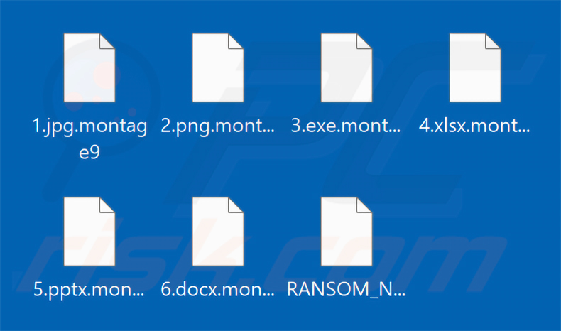 Dateien, die durch die Montage-Ransomware verschlüsselt wurden (.montage9-Erweiterung)