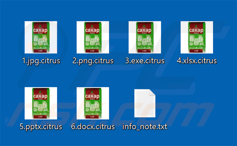 Von der Citrus Ransomware verschlüsselte Dateien (Erweiterung .citrus)