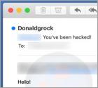 You've Been Hacked! Email-Betrug