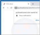 Pushwelcome.com Werbung